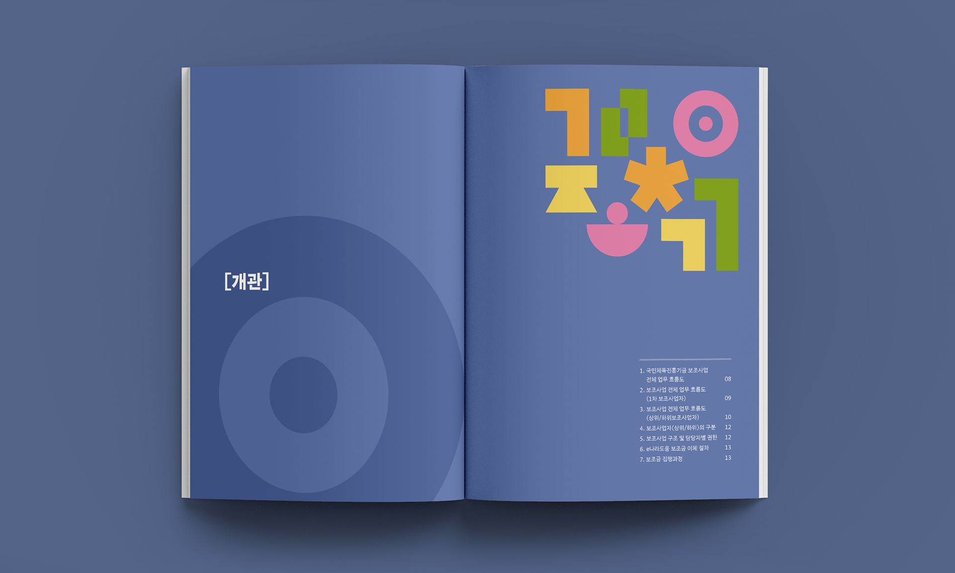 국민체육진흥기금 보조사업 맞춤형 실무매뉴얼